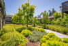 Small shrubs, leafy green trees, palm and redwood trees in apartment community.