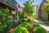 small green shrubs and treelined pathways between apartment buildings