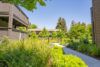 Bright green scrubs and plants line a path with leafy trees in community grounds