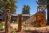 Tall carved wooden tiki figures shrubs bushes and redwood trees in community grounds