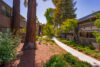 Mature trees landscaped pathways and two story apartment buildings
