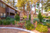 Tall carved wooden tiki figures shrubs bushes and redwood trees in community grounds