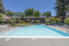 Old Orchard Pool Area