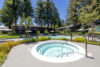 Old Orchard Spa